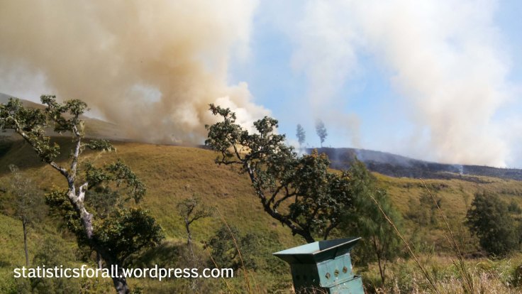 Forest Fires in Rinjani